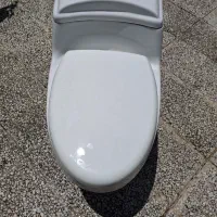 فرنگی شوتینگی،در حد نو