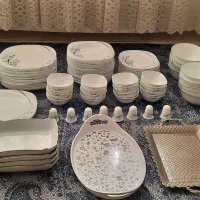 ظروف پذیرایی