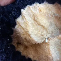 کلاه ضخیم /پشم/تودار|لباس|تبریز, |دیوار