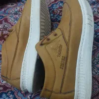 کفش مجلسی|کیف، کفش، کمربند|باوی, |دیوار