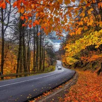فروش سیم کارت 912