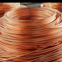 فلزات|عمده‌فروشی|گلبهار, شهر جدید گلبهار|دیوار