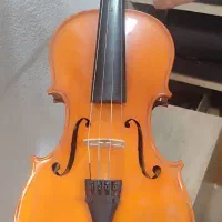 ویلون آموزشی تی آف|ویولن|مریوان, |دیوار