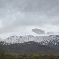 20-هکتار-دیمزار-روستای-سیردر