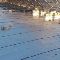 ایزوگام کلاته