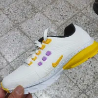 کفش زیر قیمت عمده فروشی|کیف، کفش، کمربند|دهق, |دیوار