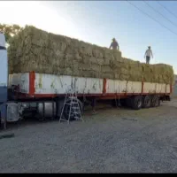 یونجه خالص پرس