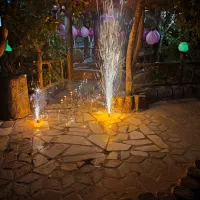 استخدام نیروی باغ رستوران