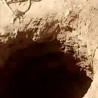 حفر چاه آب وفاضلاب و(چاله کنی نهال)