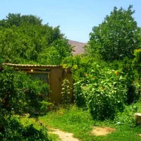 اجاره باغ ویلای رویایی در بیضا|اجارهٔ کوتاه‌مدت ویلا و باغ|بیضا, |دیوار