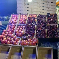 عرضه کننده بهترین انار ایران|خوردنی و آشامیدنی|تهران, مسعودیه|دیوار