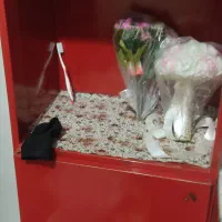 کمد فلزی|جاکفشی، کمد، دراور|تهران, تهرانسر غربی|دیوار