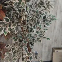 درختچه مصنوعی با گلدان  سرامیکی و بدون ان|گل مصنوعی|شیراز, تپه تلویزیون|دیوار