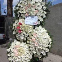 راحیل مجموعه پخش تاج سراسر شهر مطابق تصویر وظرافت|خدمات پذیرایی، مراسم|تهران, آهنگ|دیوار