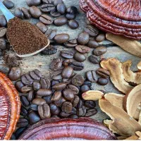 قهوه ی گانودرمای طبیعی براصول طب سنتی گیاهی