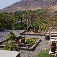 باغچه ۲۵۰متری روستای اندیس