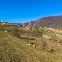 فروش زمین اکازیون برای تهرانیها