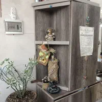 دکور اریشگاه|آرایشگاه و سالن‌های زیبایی|شیراز, غدیر جنوبی|دیوار