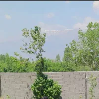 باغ با سند تک برگ داخل شهر بسطام امامزاده سی سر|فروش زمین و ملک کلنگی|بسطام, |دیوار