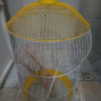 قفس|لوازم جانبی حیوانات|فردیس, شهرک ۱۱۰|دیوار