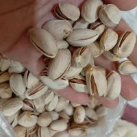 پسته خوش طعم