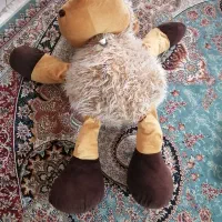 عروسک|اسباب‌بازی بچه|اصفهان, الهیه|دیوار