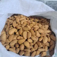 فروش بادام سنگی
