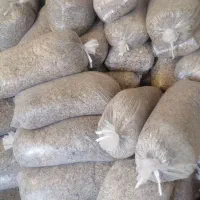 تفاله چغندر