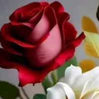 کربلا معلی ویژه ماه رجب