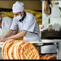 شاطر ماهر نیاز مندیم