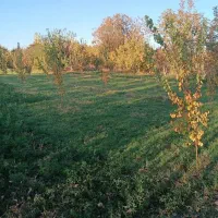 باغچه الوان|فروش دفتر صنعتی، کشاورزی، تجاری|نوشین شهر, |دیوار