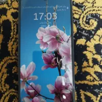 nova9se|موبایل|مشهد, تلگرد|دیوار