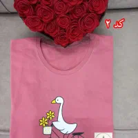 تیشرت زنانه نخ پنبه|لباس|قم, تولید دارو و یخچال|دیوار