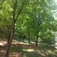 اجاره-کارواش