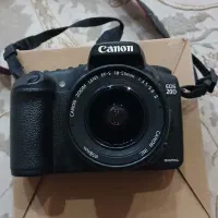 کنون20D
