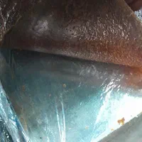 دستگاه خشک کن میوه سبزی لواشک غذاحیوانات کشک|فروشگاه و مغازه|تهران, آجودانیه|دیوار