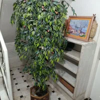 درختچه مصنوعی گیلاس