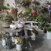 راهنمایی گلفروش