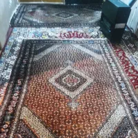 فرش طبیعی|فرش|اردبیل, |دیوار