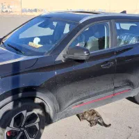 خودرو X55پرو