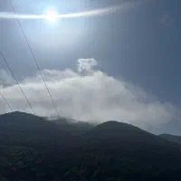 کارگر مرغداری
