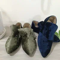 کفش زنانه در دورنگ سبزلجنی وسورمه ای