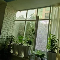 رهن واحد ۲۳۰متری ۴خواب