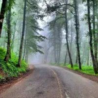 راهنمایی شمال