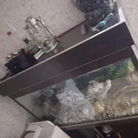 اکواریوم کار کرده با وسایل