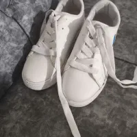 کتونی|کیف، کفش، کمربند|بروجرد, |دیوار