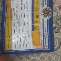 فرش|فرش|تربت‌حیدریه, مسجد جامع|دیوار