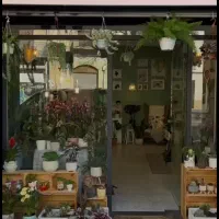 بر-احتشامیه-84متر-موقعیت-ممتاز-دارای