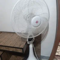 پنکه
