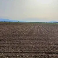 اجاره زمین کشاورزی